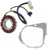 Celox Stator & Gasket for Yamaha Warrior 350 YFM350 YFM-350
