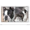 Pets-Easy.com Boston-Terrier Dog Panoramic Sticker 15 cm to 100 cm
