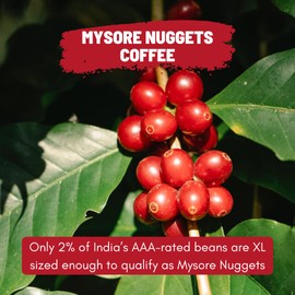 Toffee Coffee Roasters | Mysore Nuggets Coffee | Finest Indian Specialty Coffee | AAA Graded 100% Arabica | Grind: Whole Beans | Flavor Notes: Nutty, Chocolaty and Slight Smokiness | 12 Oz (340 g)