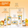 Klorane Nourishing Treatment Shampoo With Mango Butter 400ml