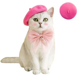 SLOTHCITY Dog Beret Hats Cats Hats Fashion Four Seasons Funny Wool Comfortable Pet Hat (Rose)