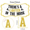 SJcysrilla There's a Lawyer in the House Banner Born to