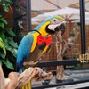 Bird Diaper Washable Reusable Parrot Flight Suit Nappies Protective Breathable