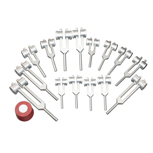Radical Weighted Human Organ 15 Tuning Forks with Activator and Pouch