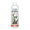 Grow More Lucky Bamboo Fertilizer (2-2-2) - 8oz of USA-Made