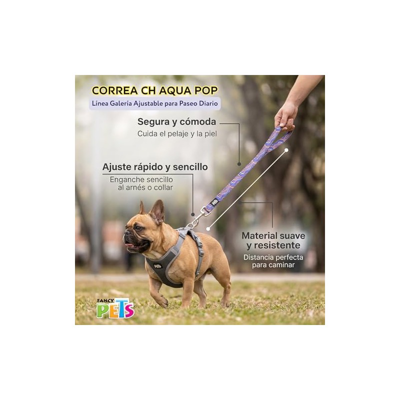Fancy Pets Correa CH Aqua Pop para Perro – Paseo