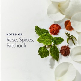 Estée Lauder Youth-Dew Dusting Powder Box with Body Powder & Puff with Notes of Rose, Spices & Patchouli, 7 Ounce