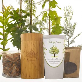 The Living Urn Bio Urn Including a Premium Young Tree of Choice. Grow a Living Tree Memorial from Cremation Ashes