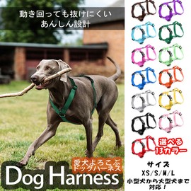 Shiba Inu Harness, Simple, Stylish, Cute, Small Dogs, Medium Dogs, Large Dogs, Walks, Prevents Loss, Outdoors, Easy, Lock, Torso (Red, M)