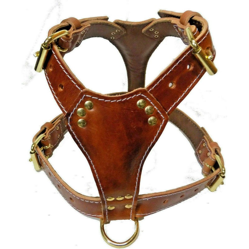 Beautiful Tan Leather Dog Harness Large with Staffordshire Bullterrier Head