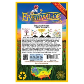 Everwilde Farms - 500 Radiance Cosmos Wildflower Seeds - Gold Vault Jumbo Seed Packet
