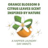 Botanical Origin Plant-based Laundry Detergent Orange Blossom and Citrus Leaves,