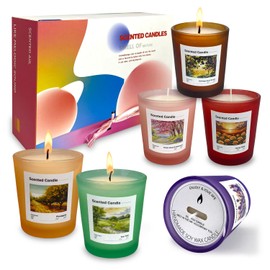 Scented Candles Gift Set of 6 Pack, Glass Jar Candles for 6 Scented, Long Lasting Soy Wax Aromatherapy Candle Set, Best Gifts with Gift Box for Every One