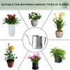 Small Watering Can for Indoor Plants, Mini Indoor Watering Can