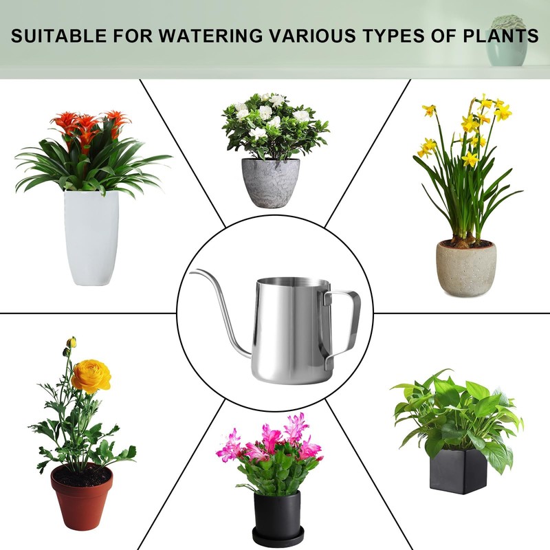Small Watering Can for Indoor Plants, Mini Indoor Watering Can