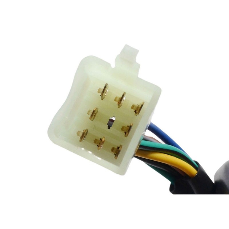 2EXTREME Switch Unit Left, Indicator Compatible with RIEJU RR 50