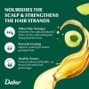 Aceite Para El Cabello Dabur Amla 296 Ml