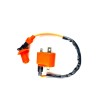 Unbranded Ignition Coil Built-In CDI Suzuki ALT50 Trail LT-A50 Quadmaster