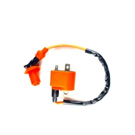 Unbranded Ignition Coil Built-In CDI Suzuki ALT50 Trail LT-A50 Quadmaster LT50 Quadrunner