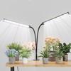 GooingTop Grow Light LED Gooseneck Lamp,Dual-Head White Full Spectrum 148