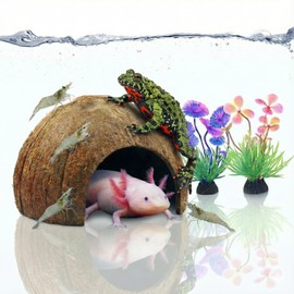 Favozio Natural Coconut Shell Hideout Cave, 5" Aquarium Fish & Reptile Hide Cave, Leopard Gecko Tank Accessories, Crested Geckos, Hermit Crabs, Spider, Snails & Small Lizards Climbing Toy & Decor