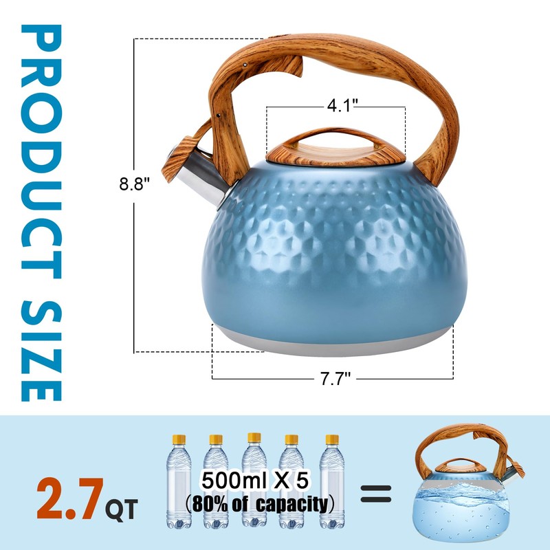 GGC Tea Kettle for Stove Top, Loud Whistling Kettle for