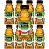 Minute Maid Fruit Juice, 10oz Bottles, Pack of 8 (Apple