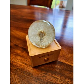 Vizliter Bluetooth Speaker Crystal Ball 65mm LED Lighting Premium Preserved Natural Flower with Wood Base Never Withered Eternal Night Light Audio Portable (Dandelion)