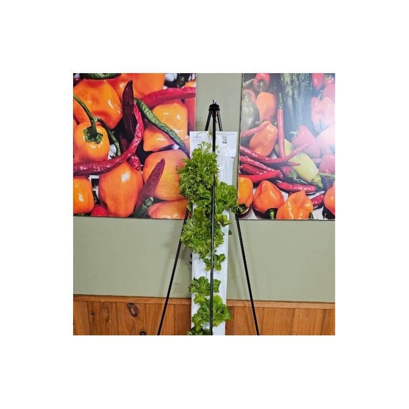 GrowMesh Stand & Hydroponic Garden 16 plant
