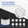 SAKEGDY TZ-K1 Replacement Filter Compatible with ToLife TZ-K1 Air Clean