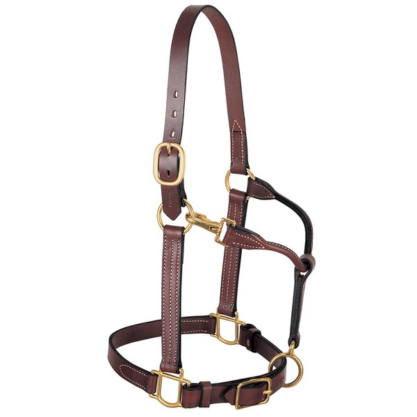 Weaver Leather 3-in-1 All Purpose Halter, Horse Size, Mahogany