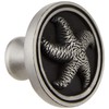 Franklin Brass PBF657-BSP-C1 Seaside Cottage Starfish Kitchen Cabinet Hardware Knob,