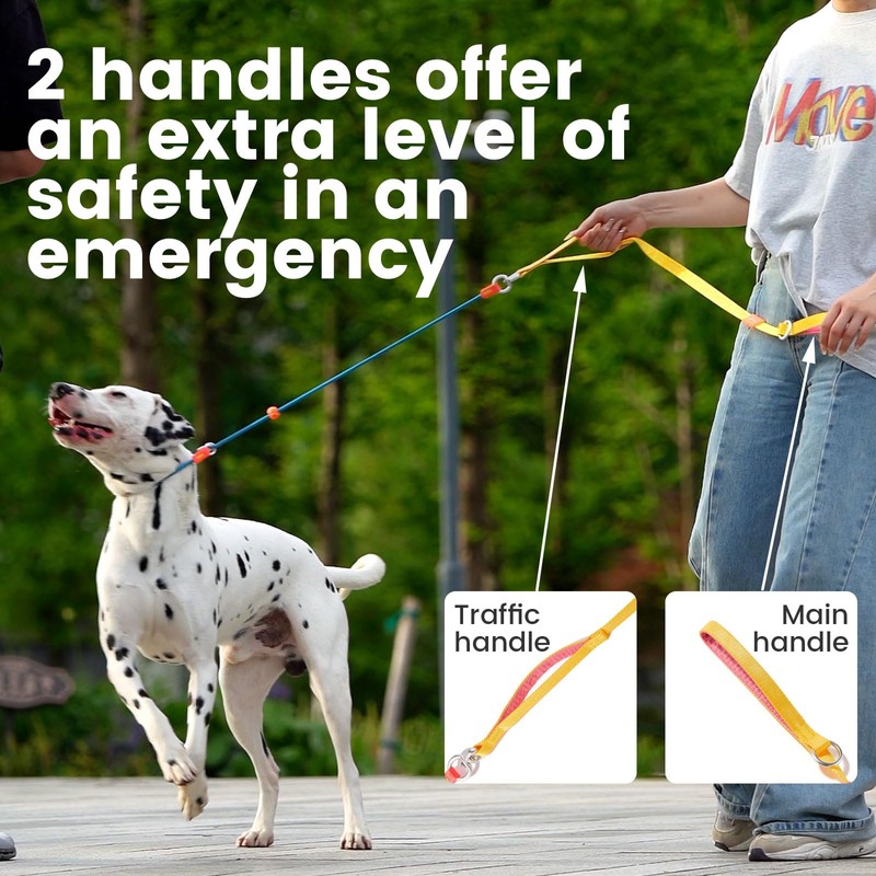 HowGo Slip Lead Dog Leash with Padded Handles | Lightweight