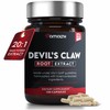 AMALTH Devils Claw Extract 500 mg, 120 Veggie Capsules, Concentrated