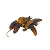 Dried Aji Amarillo Pepper (Chile Amarillo) WT: 2 oz, 4