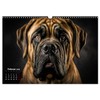 Hunde Porträts (Wandkalender 2026 DIN A3 quer), CALVENDO Monatskalender