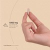 B Life Adaptógeno Hongo Melena de León 100 Orgánico 180