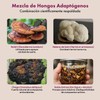 CalmaFunga - Tintura Adaptógena de Doble Extracción Blend de Reishi,
