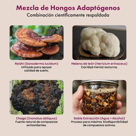 CalmaFunga - Tintura Adaptógena de Doble Extracción Blend de Reishi, Melena de León y Chaga Soporte para Sueño Profundo, Calma y Bienestar General Sin Melatonina ni Adicción 90ml