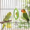 Hypeety Pet Bird Mirror with Bell Interactive Parrot Toy Bird