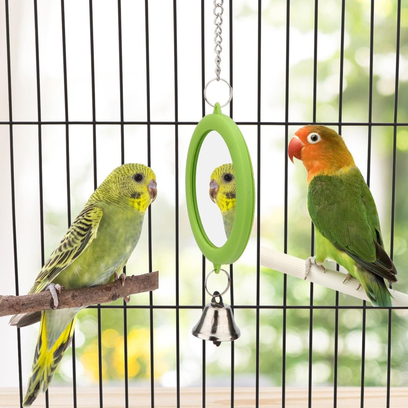 Hypeety Pet Bird Mirror with Bell Interactive Parrot Toy Bird