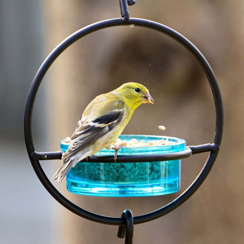 Mosaic Birds Hummble Basic Bird Feeder, M045-200-09, 3.4 Ounce Capacity,