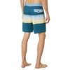 Quiksilver Surfsilk Resin Tint 19" Boardshorts Majolica Blue 32