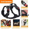 LOBEVE No Pull Dog Harness, Collar & Leash Set |