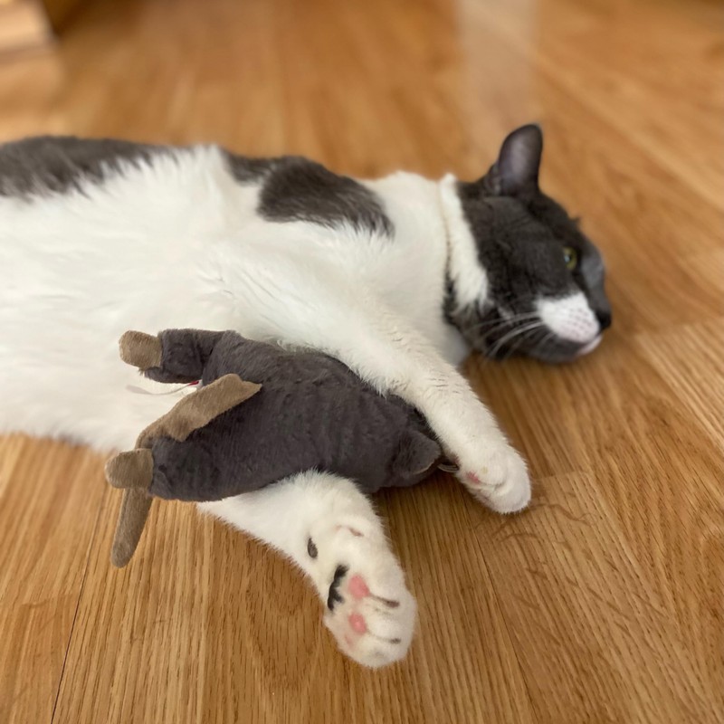 SPOT Big Mouse Bertha Cat Toy with Catnip – Lifelike
