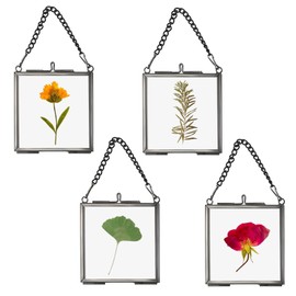 SUMTree 4 Pieces Mini Square Picture Frame Metal Glass Hanging Glass Photo Frame Geometric Ornament Plant Sample Clip Glass Frame for Pressed Flowers Photos 2.7 x 2.7 inches/7 x 7 cm (Black, Frame
