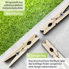 Luna® Wooden Clothes Pegs, Shatterproof, Wooden Pegs, Large 7.5 cm,