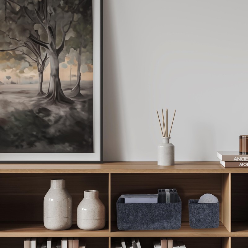 Relaxdays 5 Piece Wardrobe Organiser Drawer and Much More Foldable