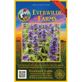Everwilde Farms - 50 Blue Sage Native Wildflower Seeds - Gold Vault Jumbo Seed Packet