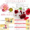 CHIECO DeepDrop Serum/Beauty Serum, Rose, Placenta Extract, Skin Care, Hari,